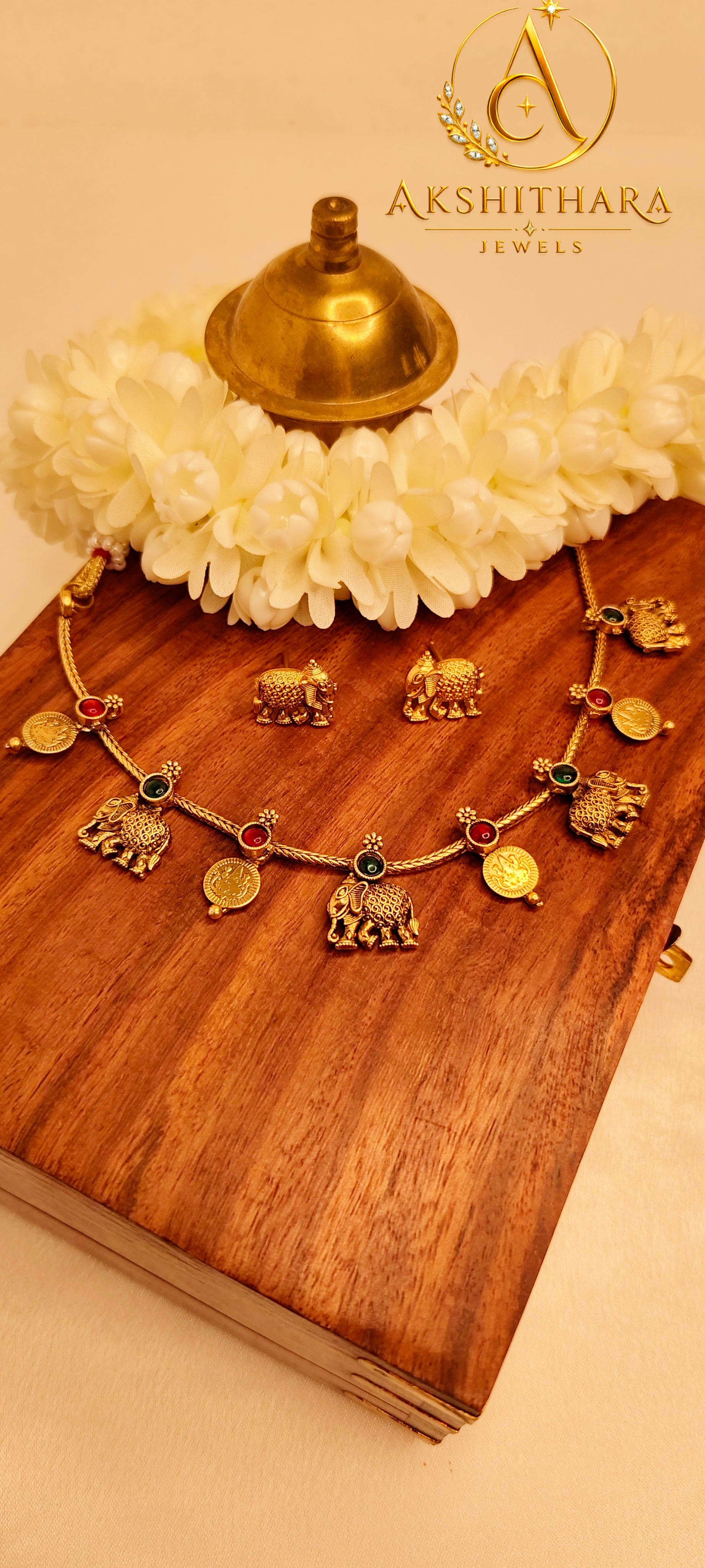 Elephant Coin Necklace