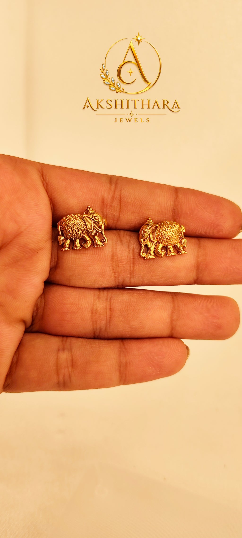 Elephant Coin Necklace