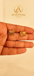 Elephant Coin Necklace